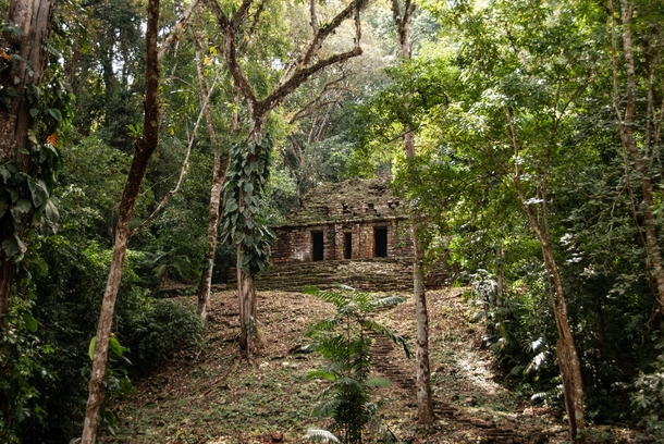 One of the ancient buildings from the ancient ruins of Yaxchiln in Chiapas Mexico