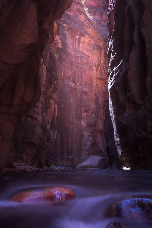 One of the best summer hikes out there - The Narrows Zion 