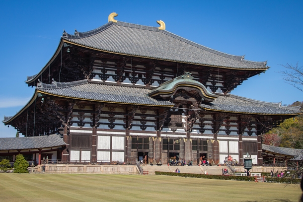One of the biggest wooden structure in the world Todai-ji Temple in Nara Japan Look at the size of the human beings at the entrance for comparison