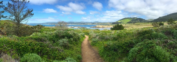 One of the many beautiful trails at Point Lobos State Reserve in Carmel CA 