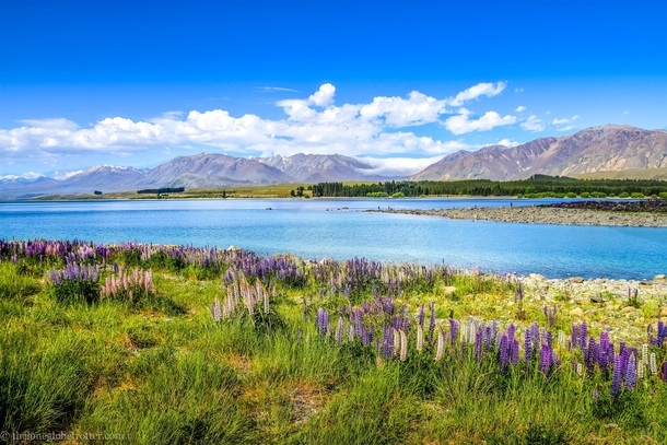 One of the most breathtaking countries in the world Lake Tekapo  New Zealand   
