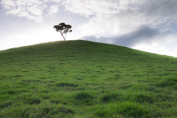 One Tree Hill Barwidgi AU 