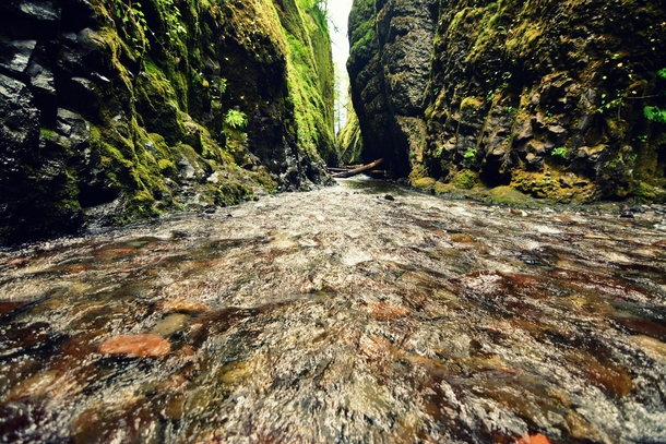 Oneonta slot canyon part of the Columbia River Gorge Oregon