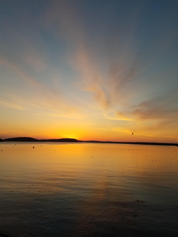 Orange filled sunrise over Bar Harbor Maine