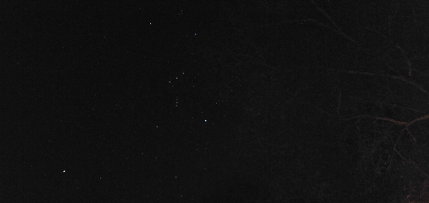 Orion and Sirius from Middle Georgia state Taken with a Galaxy S on night mode