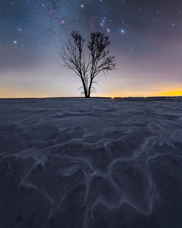 Orion and the winter milky way over a frozen Saskatchewan field 