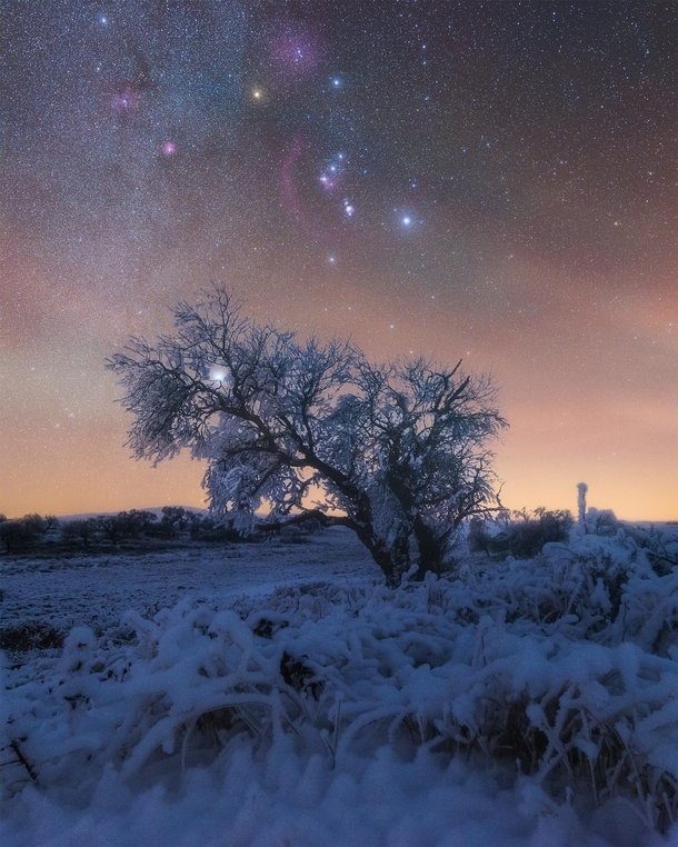 Orion over a frozen south Saskatchewan scene 