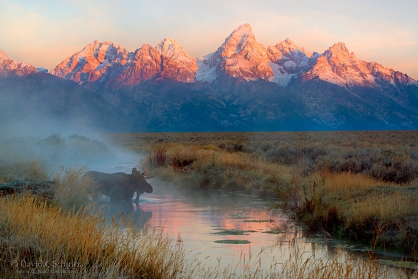 Out of the Mist - Grand Teton NP really is gorgeous  by David C Schultz x-post rUnitedStatesofAmerica
