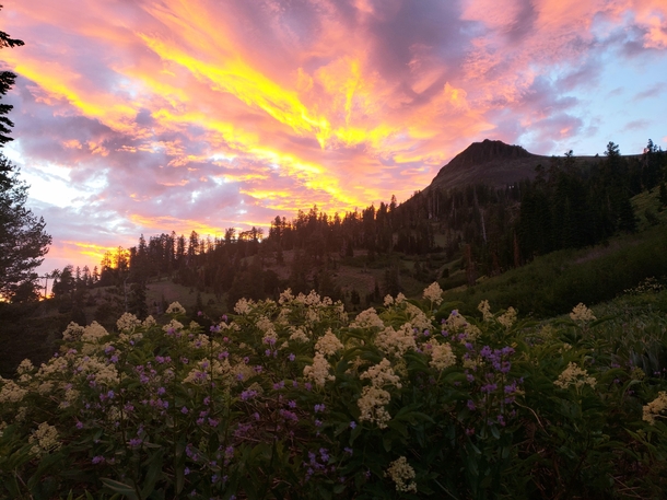 Outside of Sierra City California 