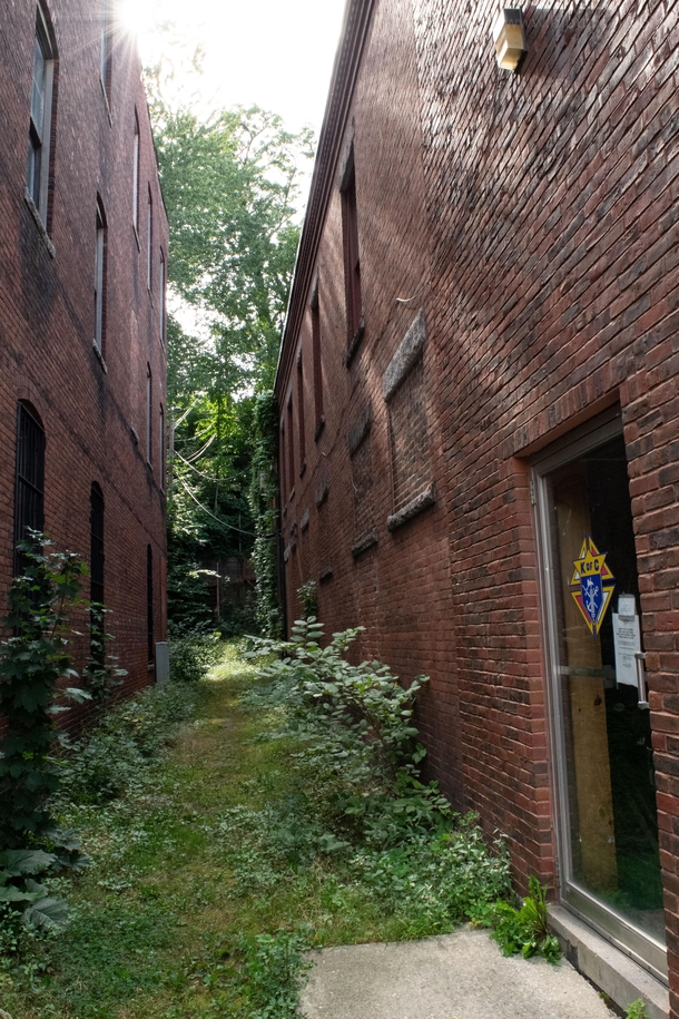 Overgrown alleyway behind next to a local movie theater