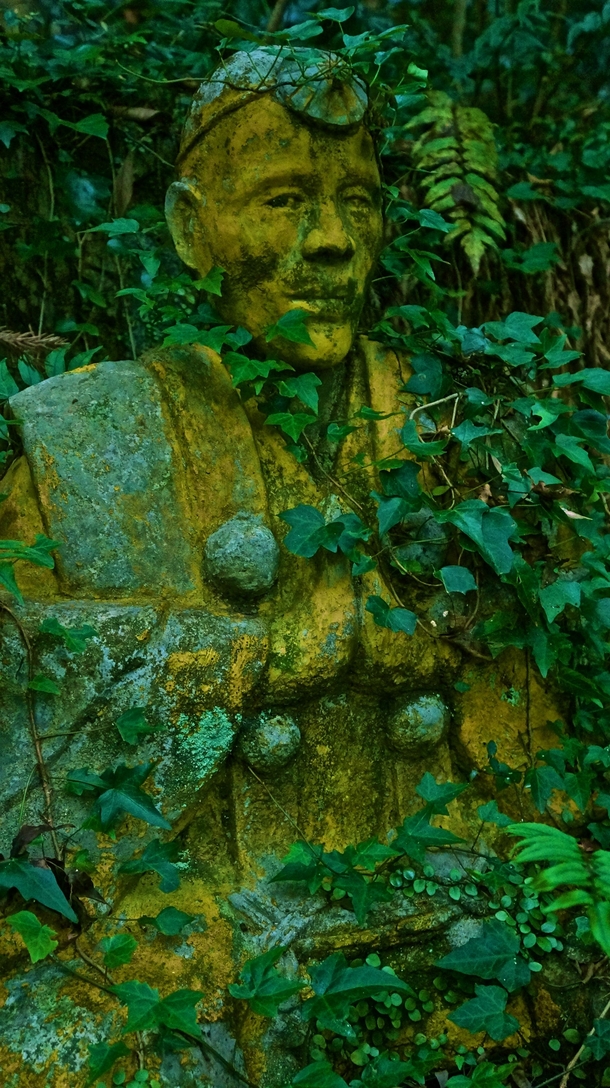 Overgrown Buddhist Statue deep in a forest in rural Hiroshima Japan 