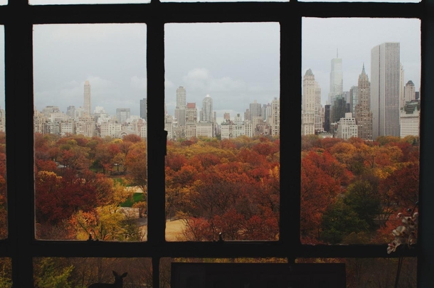 Overlooking Central Park in Fall - New York City 