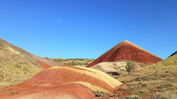 Painted Hills OR  x