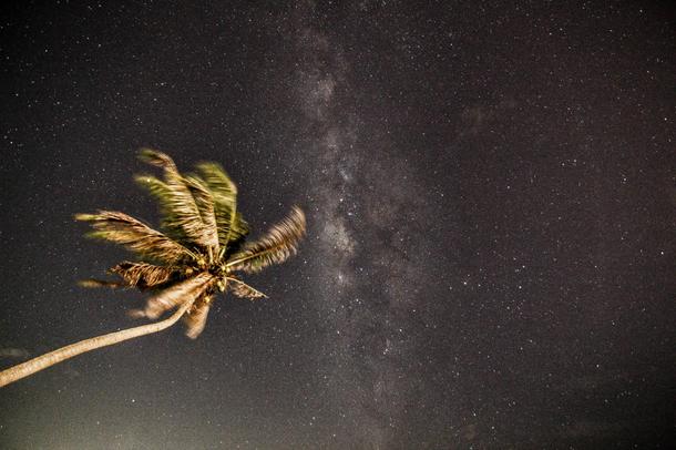 Palm tree  milkyway seen from Thailand 