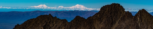 Pano View of Denali and Mt Foraker as seen from the summit of Pioneer Peak Alaska 