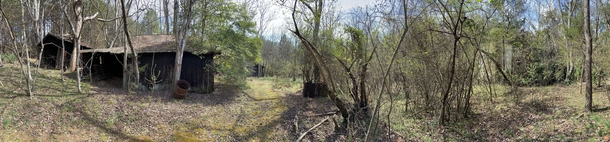 Panoramic photo of my familys abandoned th century tobacco farm in rural Virginia that was used until  - The old wagon road is still visible and the main house is off to the right painted white entangled within the foliage Theres a smoke house tobacco bar