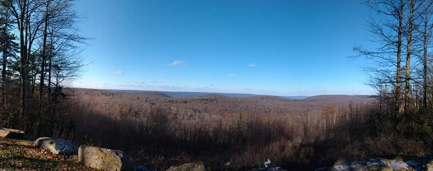 Panoramic view from a vista in Lycoming County x OC