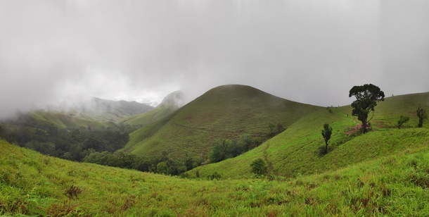 Panoramic view of Kudremukh National Park Karnataka India 