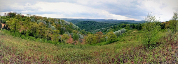 Panoramic vista in Hammersley Wild Area - Pennsylvania Wilds 