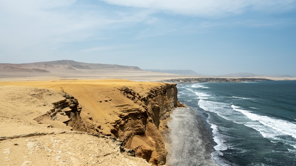 Paracas National Preserve in Peru the Wildlife Here Was Incredible  IG ryanmurphy_photography
