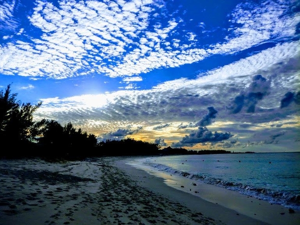 Paradise Island Bahamas  x
