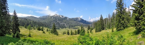 Part of Velebit Mountains Croatia 