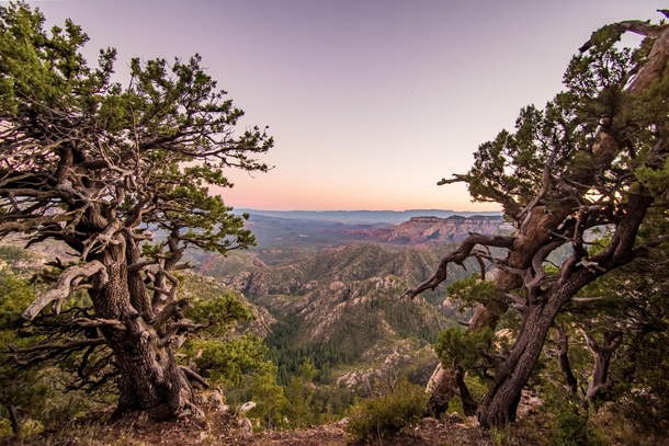 Parted trees reveal an amazing view overlooking Sedona AZ 