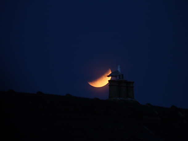 Partial lunar eclipse from the UK