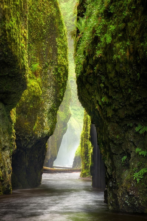 Passage - the Oneonta Gorge in the Columbia River Gorge system Oregon  by Thorsten Scheuermann