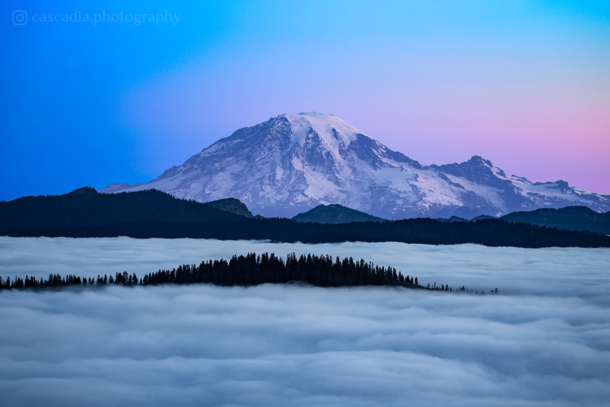 Pastel sunrise at Mt Rainier  IG cascadiaphotography