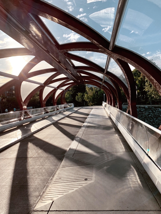 Peace Bridge In Calgary Alberta Designed by Santiago Calatrava