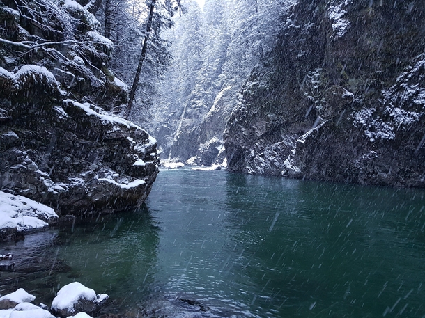 Peacefully fishing for steelhead in a remote canyon on the Chehalis River BC Canada 