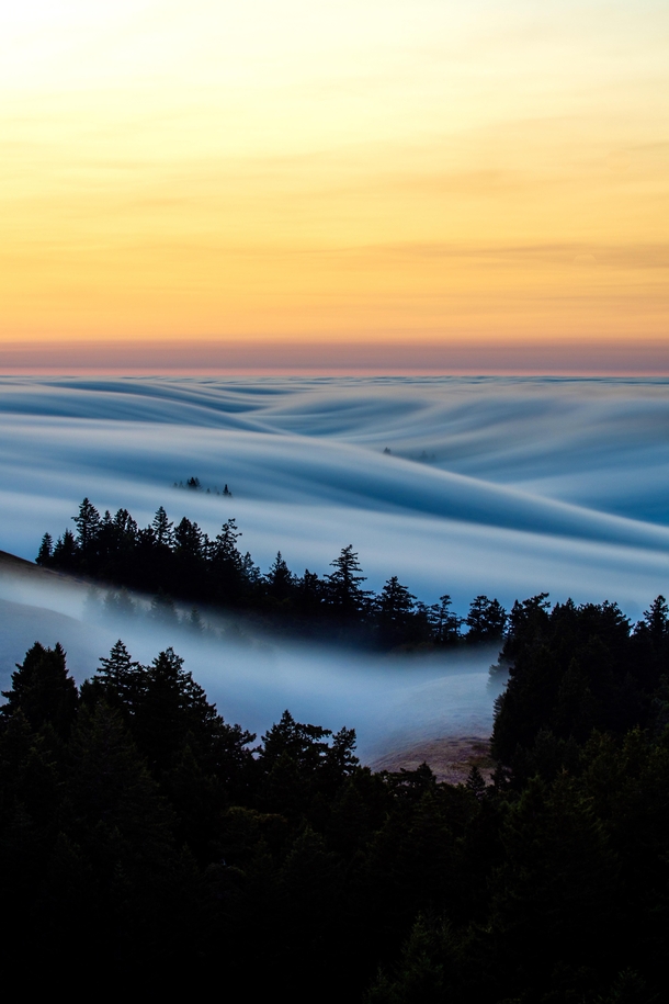 Perfect coastal fog in Marin County CA  jackboberphoto