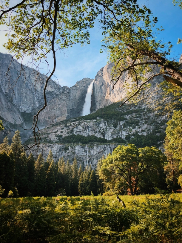 Perfect Lighting - Yosemite Falls 