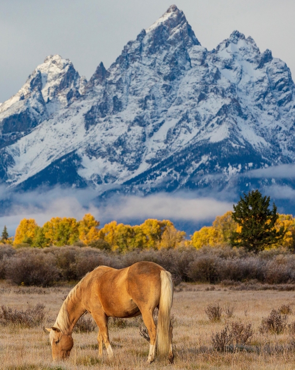 Perfectly Lonely Grand Teton National Park Wyoming 