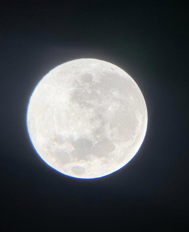Photo of the pink moon i took through my telescope last night