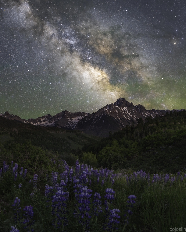 Photographed the Milky Way over some wildflowers in Colorado this weekend 