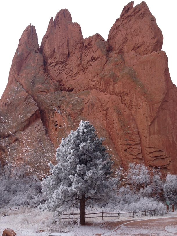 Picture of the Garden of the Gods I took this February 