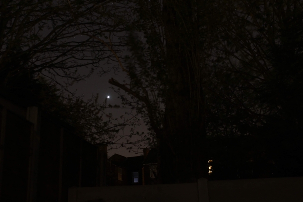 Picture of Venus through the trees in my garden Only recently started photography 