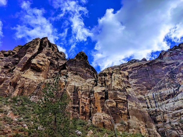 Pine Creek Canyon Red Rock Nevada 