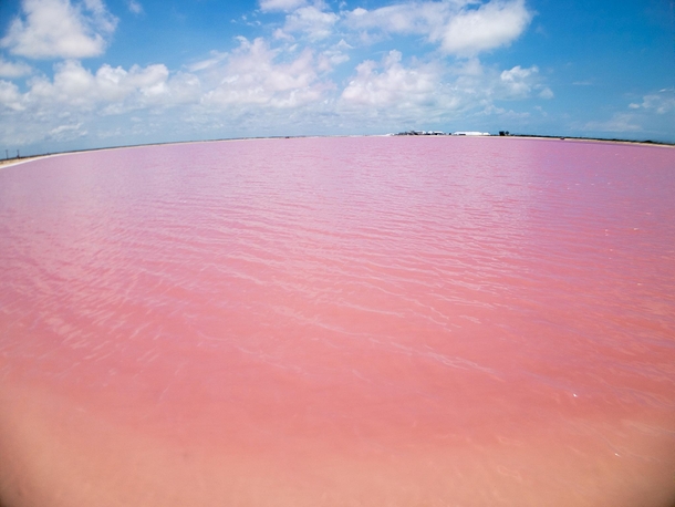Pink lagoon on Mexican peninsula 