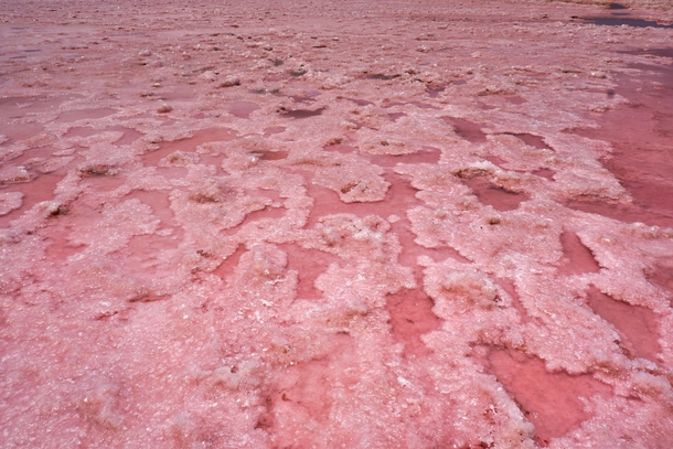 Pink salt Lake Western Australia 