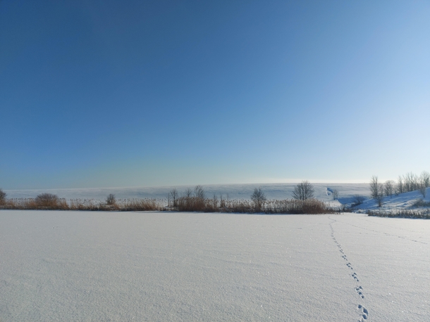Plains of Lithuania Marijampole on frozen river Sesupe 