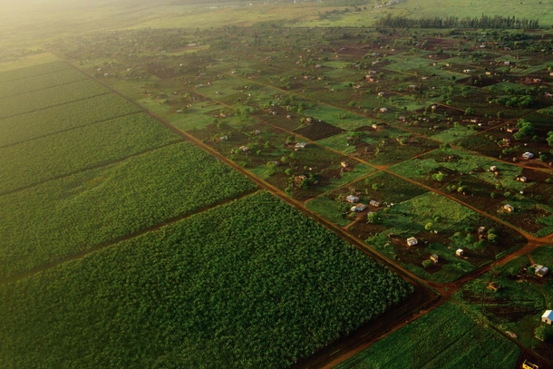 Plantations and small farms outside Maputo 