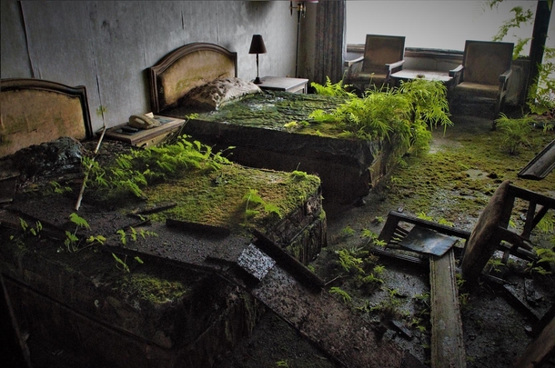 Plants take over an abandoned hotel 
