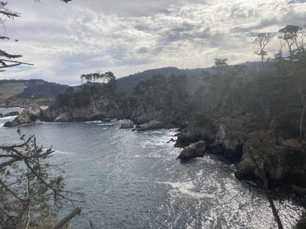 Point Lobos CA 