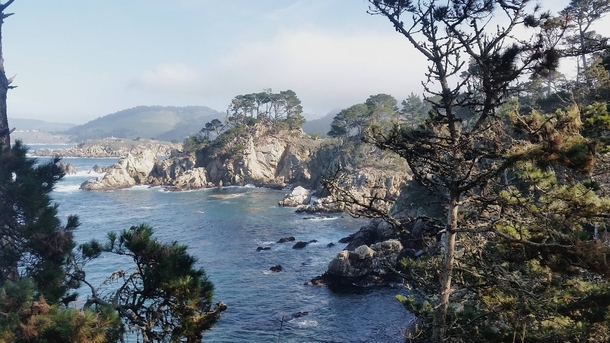 Point Lobos Carmel CA 