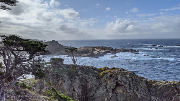 Point Lobos State Park near Big Sur x 
