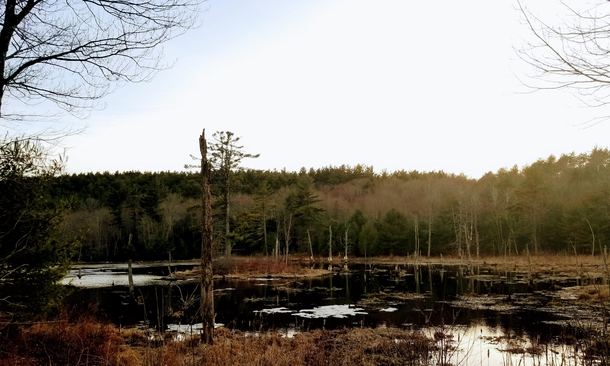 Pond at the top of Huckle Hill MA 