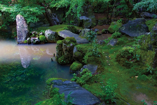 Pond in Rengeji Kyoto Japan 